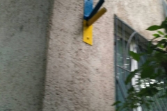 flag1